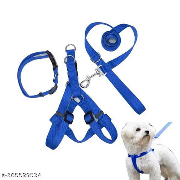 Dog Leash